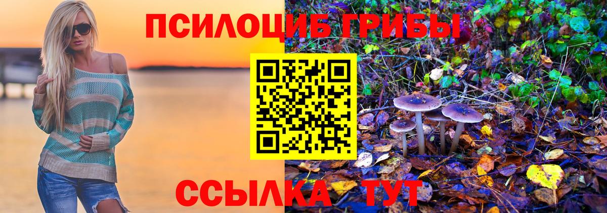 Псилоцибиновые грибы GOLDEN TEACHER Минусинск